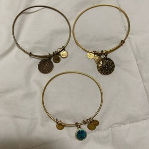Alex n ani